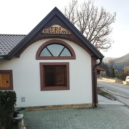 Tri Bagrema Km Apartment Mokra Gora Luaran gambar